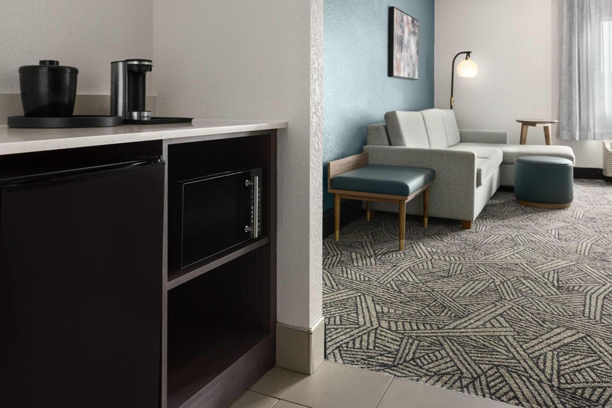 One-Bedroom King Suite Non-Smoking